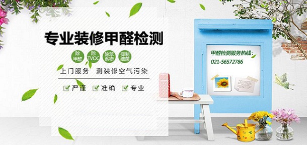 上海環境檢測咨詢服務有限公司