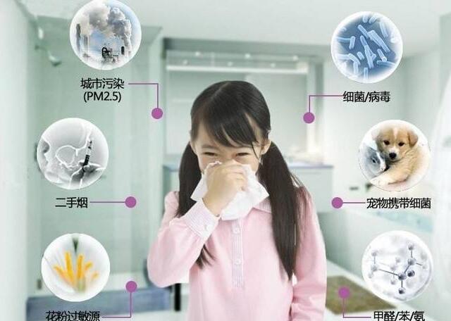 上海環(huán)境檢測咨詢服務(wù)有限公司