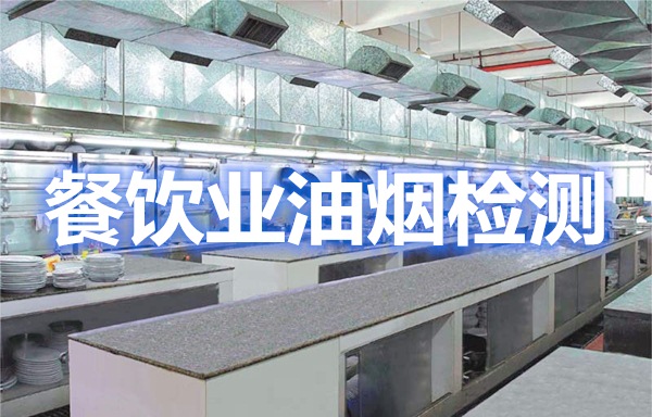 上海環(huán)境檢測(cè)咨詢(xún)服務(wù)有限公司