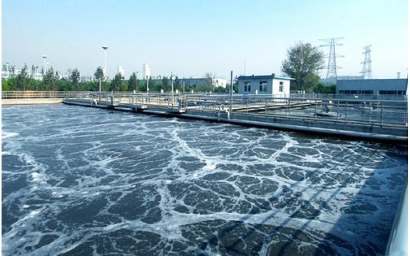 上海市市級集中式生活飲用水水源水質狀況報告（2020.3月））