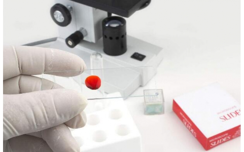 上海室內(nèi)裝修檢測報(bào)告