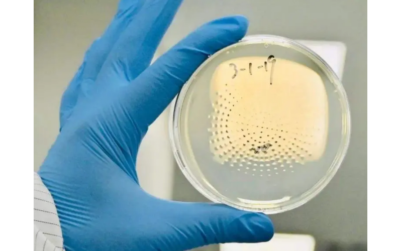 上海辦理二次供水檢測竣工驗收報告